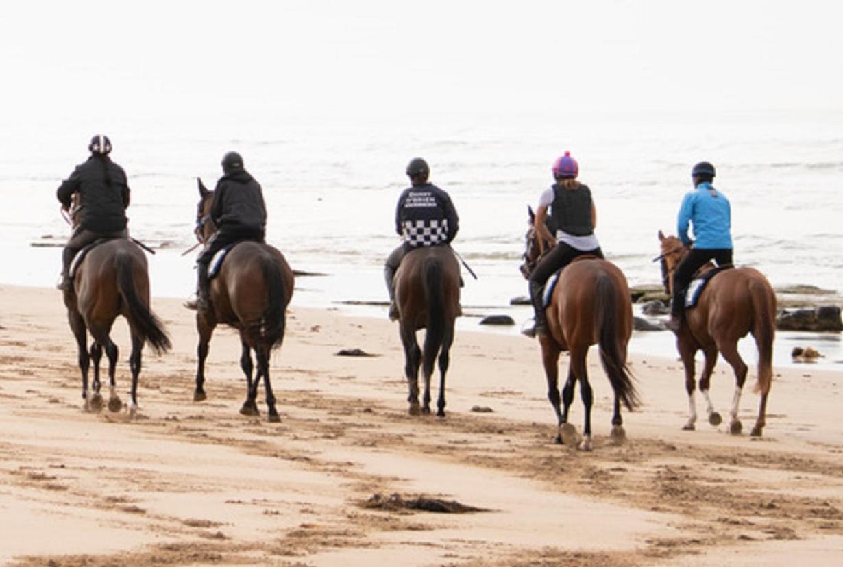 O'BRIEN TO SELL 13TH BEACH PROPERTY